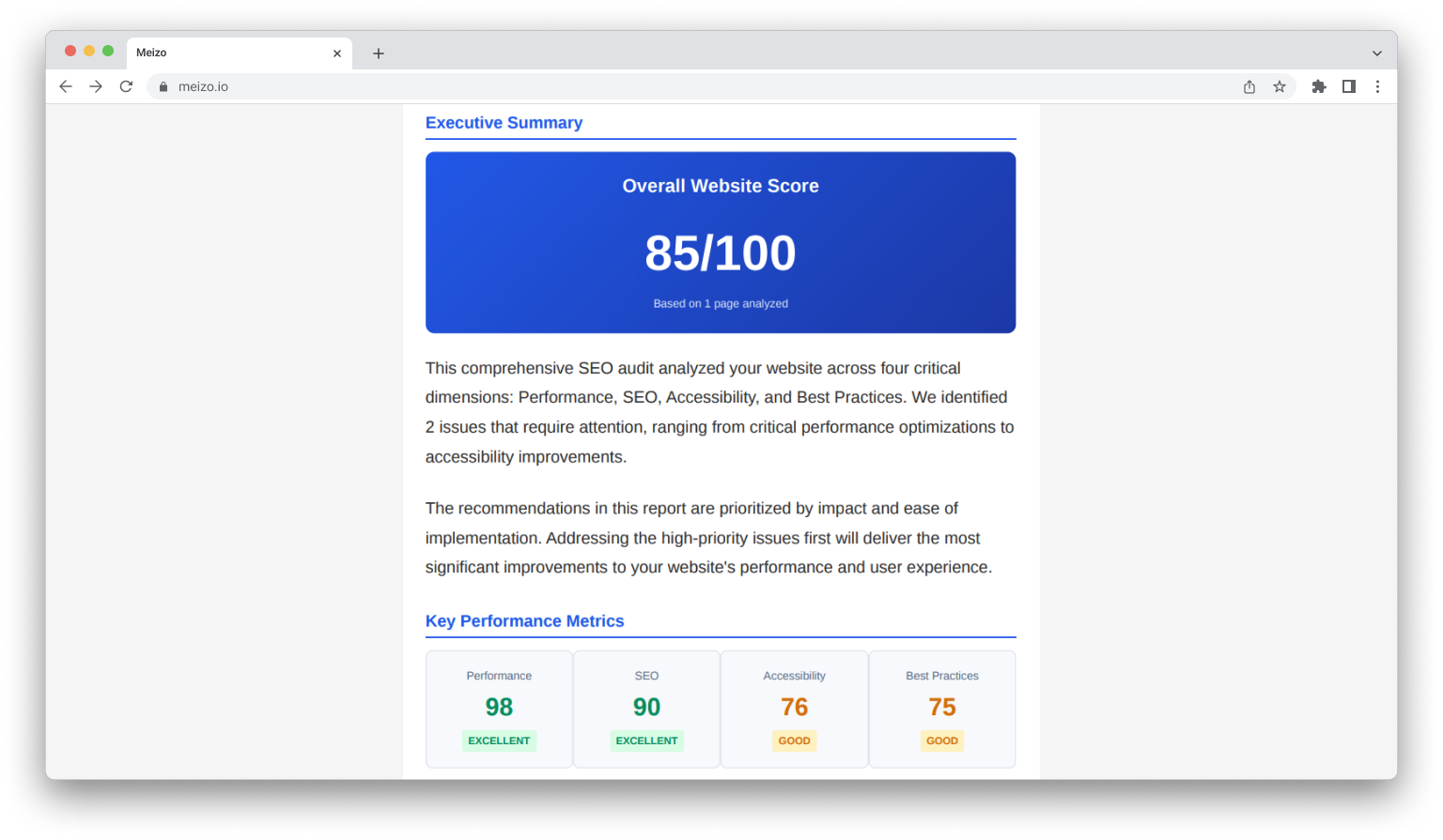 Meizo PDF report screenshot